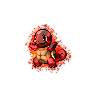 Exotic Squirtle
